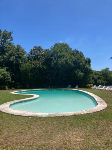 a small pool of water in the grass at Palácio da Quinta da Portela II in Coimbra