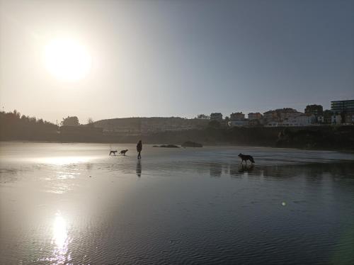a person and three dogs walking on a beach at La Cariñosa in Naveces