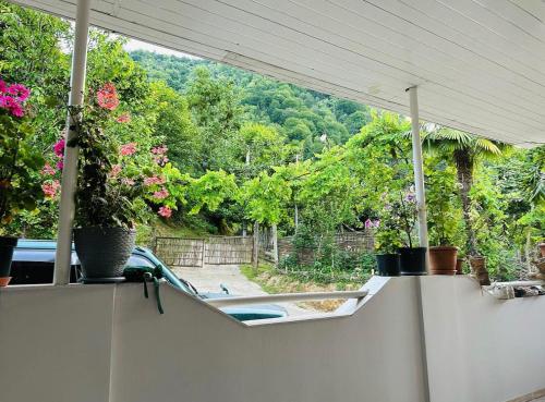 a porch with potted plants and a swimming pool at Agro Guest House Tsiskari in Machakhela in Khelvach'auri