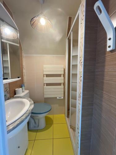 une salle de bain avec toilettes et lavabo dans l'établissement Duplex au calme jardinet Spa, à Plescop