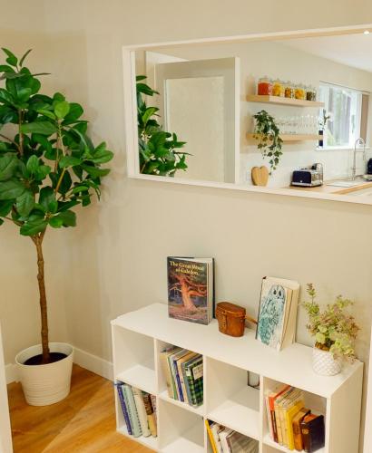 a white book shelf with a mirror and a plant at Dalnaglar in Nethy Bridge