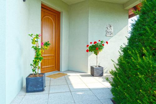 two potted plants sitting in front of a door at aux pieds des vignes in Ingersheim