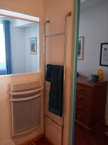 a bathroom with a shower with a mirror at La Maison Bleue in Sault-de-Vaucluse