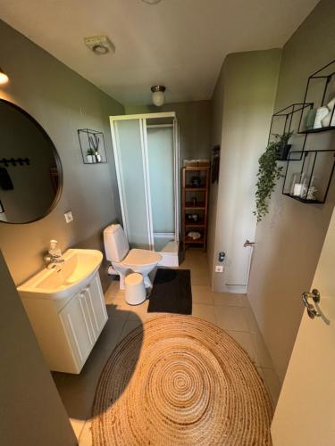 y baño con lavabo y aseo. en Apartment - Fíflholt, en Hvolsvöllur