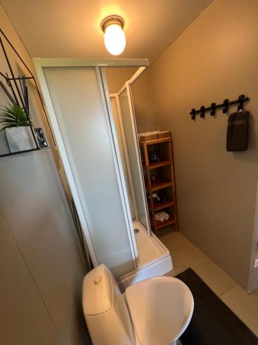 Koupelna v ubytování Apartment - Fíflholt