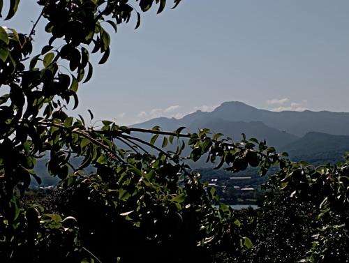 uma vista para as montanhas a partir de uma árvore em Casa rural La Barriada de Lago de Carucedo em Lago de Carucedo