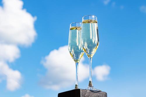 two glasses of champagne sitting on a table at SVOI Hotel in Palyanytsya