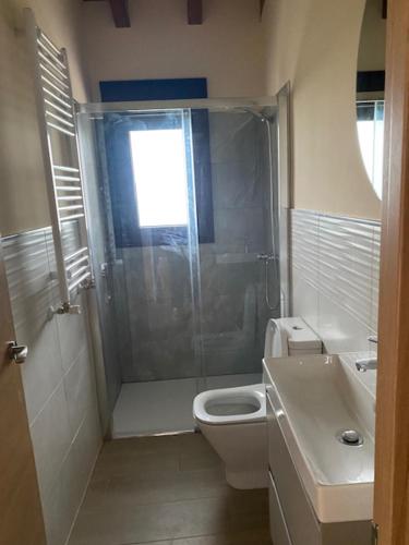 een badkamer met een douche, een toilet en een wastafel bij Apartamentos rurales La Teyeruca II in Posada de Llanes