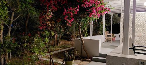 a garden with pink flowers on a house at Elisso Villas in Platis Yialos Sifnos