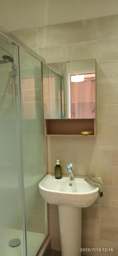 a bathroom with a sink and a glass shower at Appartements touristique - La Colombière in Lourdes