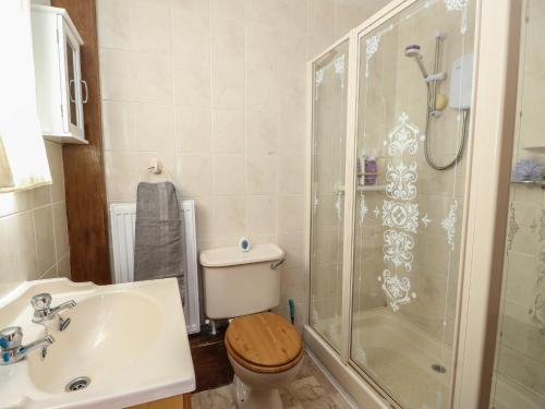 a bathroom with a toilet and a shower and a sink at Finnisterre in Holyhead