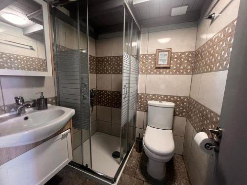 a bathroom with a toilet and a sink and a shower at Traditional house in the heart of Naxos in Dhamariónas