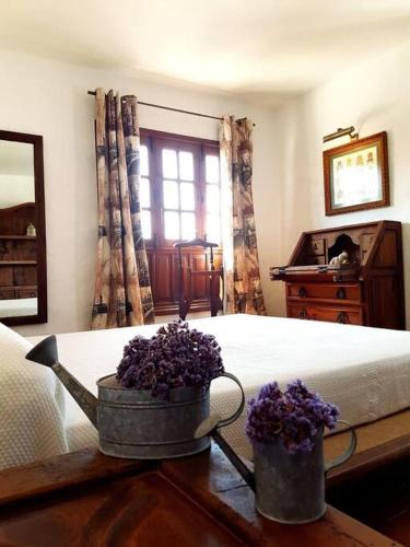 Apartamento Lavanda