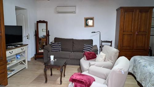 Casa Santana Segura في تيخيدا: غرفة معيشة مع أريكة وتلفزيون