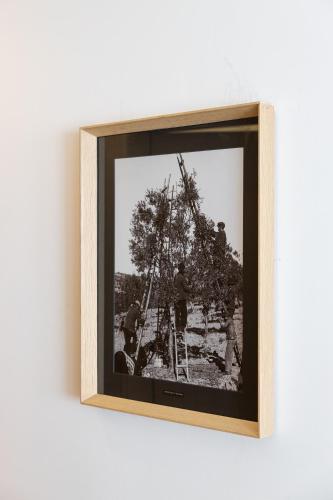 a black and white photo of people in a tree at Evora Olive Hotel in Évora
