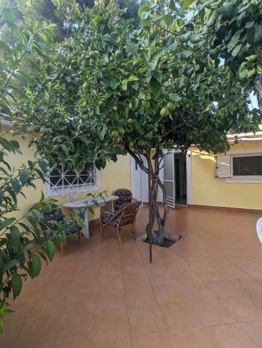 a tree in a courtyard with a table and chairs at Λευτέρης in Isthmia
