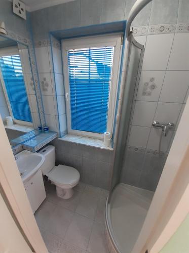 a bathroom with a shower and a toilet and a sink at Agroturystyka Relaks in Orzeszkowo