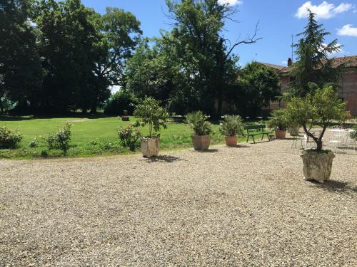 a group of potted trees sitting in a yard at B&b Villa Partitore in Quartazzola