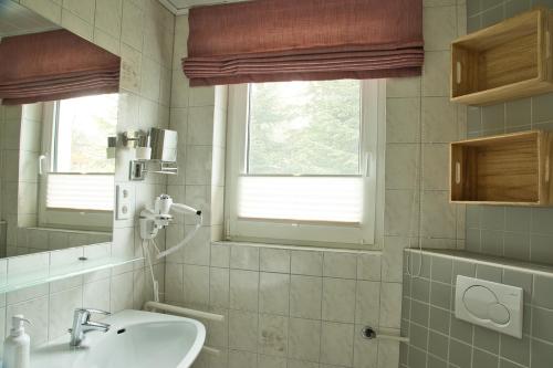 a bathroom with a sink and a mirror at Landurlaub in Schmallenberg Landhäuschen in Schmallenberg