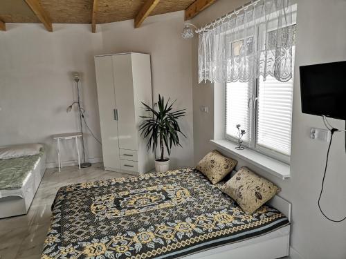 a bedroom with a bed and a window at Agroturystyka Relaks in Orzeszkowo