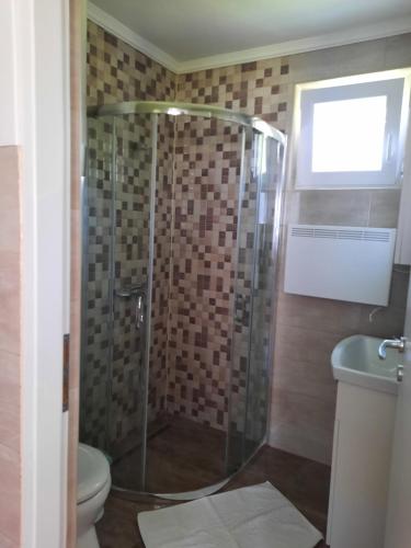 a bathroom with a shower with a toilet and a window at Alexander apartman in Gyula