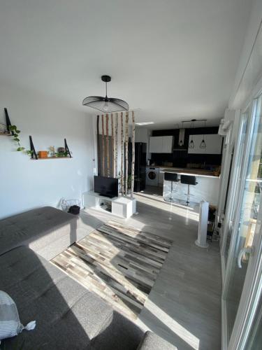 un salon avec un canapé et une cuisine dans l'établissement Studio cosy, à Nice