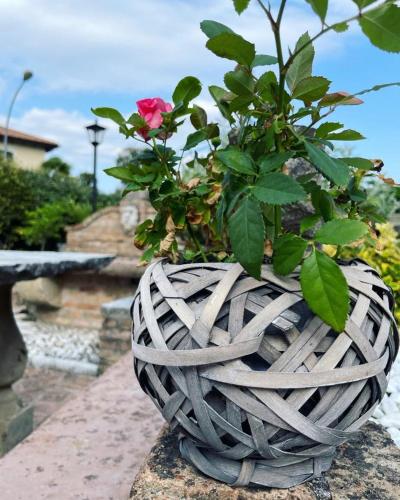 a plant in a wicker basket with a rose in it at VILLA MARGHERITA in Pieve di Soligo