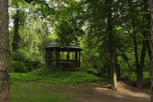 a gazebo in the middle of a forest at Leśny kasztel pod sosnami. Pokój w koronach drzew. in Milanówek