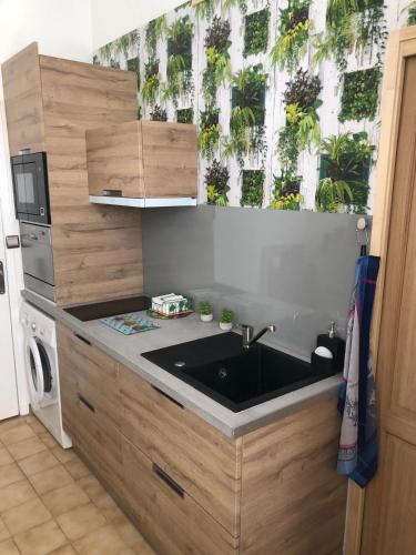 une cuisine avec évier et une fenêtre ornée de plantes dans l'établissement Studio au cœur d'Avignon intra-muros, à Avignon