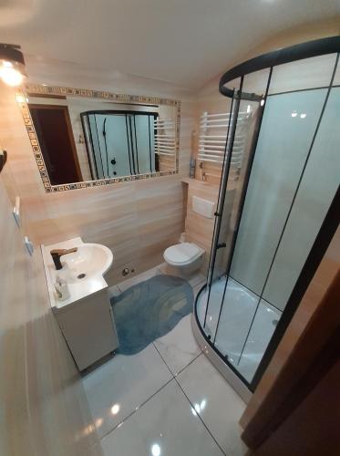 a bathroom with a toilet and a sink and a shower at Agroturystyka Relaks in Orzeszkowo