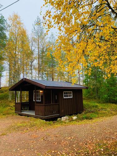 a small cabin in the middle of a forest at Sæteråsen Hytter & Camping Trysil in Trysil