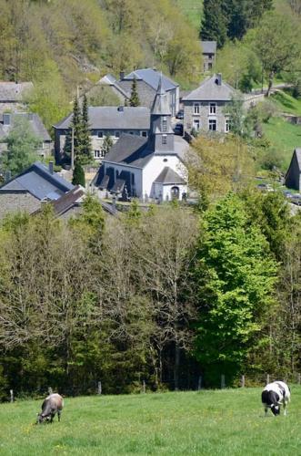 two animals grazing in a field with a town in the background at La clef des bois in Paliseul