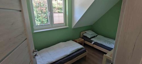 zielony pokój z 2 łóżkami i 2 oknami w obiekcie Leśne Wzgórze przy Zamkowej w Lubniewicach
