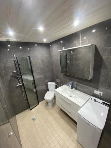 La salle de bains est pourvue de toilettes, d'une douche et d'un lavabo. dans l'établissement Rõuge Apartment, à Rõuge