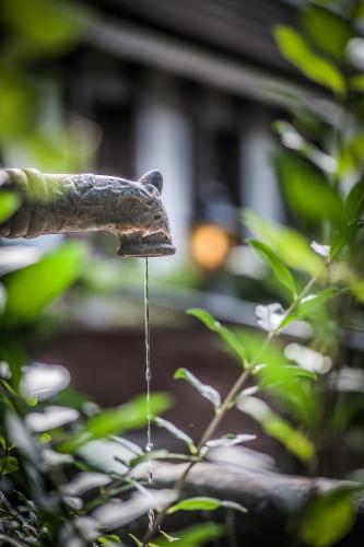 a bird bath with water coming out of it at Landhotel Rebstock in Oberkirch