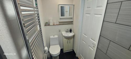 małą łazienkę z toaletą i umywalką w obiekcie Inviting 1-Bed Apartment in Coventry w Coventry