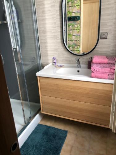 une salle de bain avec un lavabo, une douche et un miroir dans l'établissement Studio au cœur d'Avignon intra-muros, à Avignon