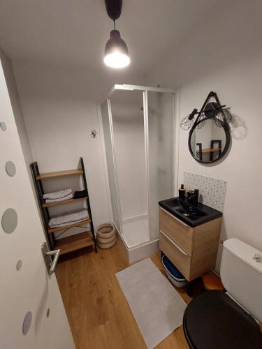 a bathroom with a shower and a sink and a mirror at Le Studio Zen "parking gratuit" in Cherbourg en Cotentin