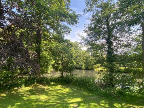 Lingfield Shepherds Hut في Blindley Heath: حديقة فيها اشجار وجسم ماء
