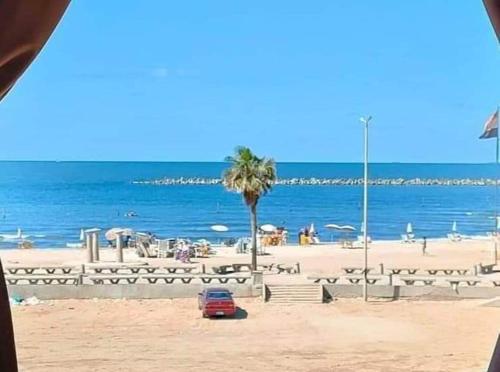 شقق فاخرة للإيجار