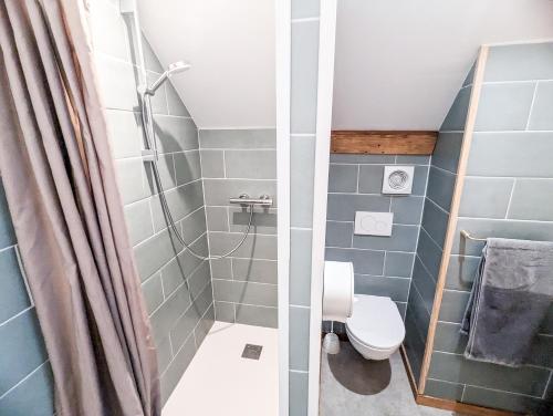 a bathroom with a toilet and a shower at LES REPAIRES in Nans-sous-Sainte-Anne