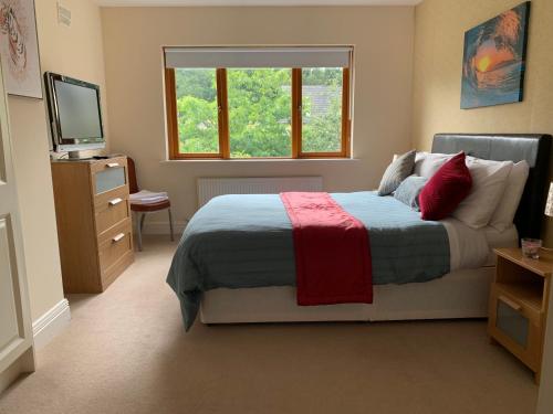a bedroom with a bed and a tv and a window at Lough Rynn-Lord Leitrim in Rivers Town