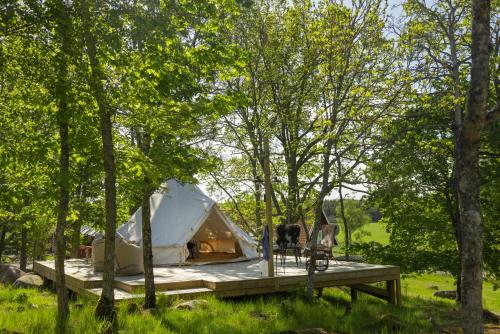 a tent on a wooden platform in the woods at Siggesta Gård in Värmdö