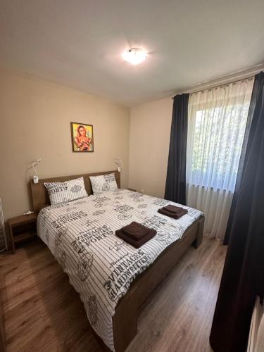 a bedroom with a large bed and a window at Petkovi Аpartments, Borovets Gardens - One-bedroom and Two-bedroom apartments in Borovets