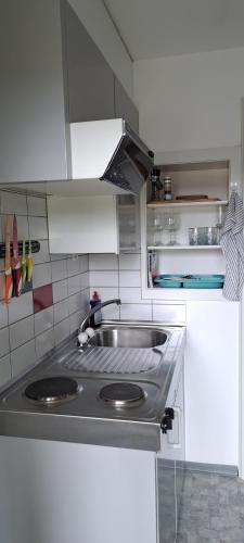 Kuchyň nebo kuchyňský kout v ubytování goldenes 1-Zimmer-Appartement Kreuzlingen