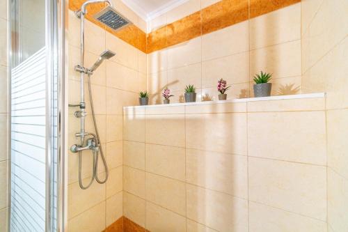 baño con ducha con macetas en un estante en Kohili Retreat, en Peroulades
