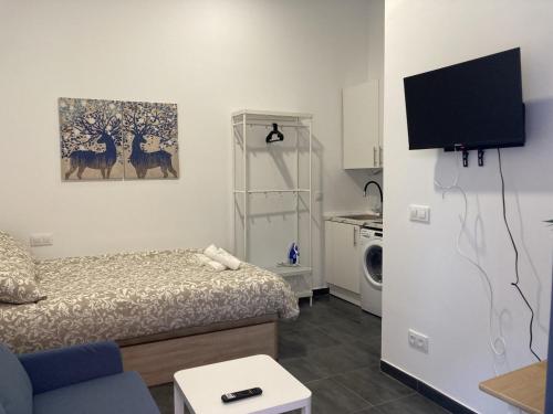 Habitación pequeña con cama y TV. en Ensanche Apartments, en Madrid