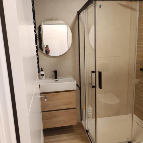 y baño con lavabo y ducha. en AV. Asturias Apartamento, en Madrid