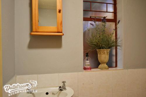 Un baño de Sonata