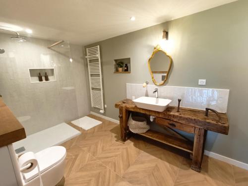 uma casa de banho com um lavatório, um WC e um espelho. em Bas de Villa neuf en Provence avec Piscine em Mallemoisson